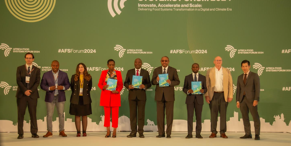 Programs that offer smallholder farmers better seeds, modern farming techniques, and financial services are helping to boost their yields and incomes, contributing to the overall growth of rural livelihoods. Photo/ Courtesy