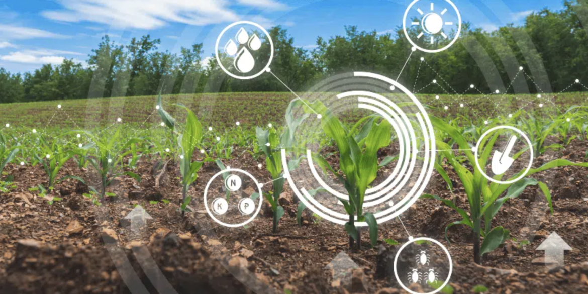 Analyzing and interpreting big data requires specialized skills and expertise, such as data science, machine learning, and artificial intelligence. Many farmers and other stakeholders in the agriculture industry may not have these skills, which can limit their ability to leverage the potential benefits of big data. Image/ CourtesyAnalyzing and interpreting big data requires specialized skills and expertise, such as data science, machine learning, and artificial intelligence. Many farmers and other stakeholders in the agriculture industry may not have these skills, which can limit their ability to leverage the potential benefits of big data. Image/ Courtesy