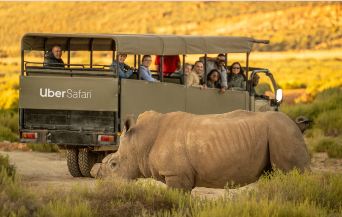 Uber launches Uber Safari in Cape Town Photo/ Courtesy.