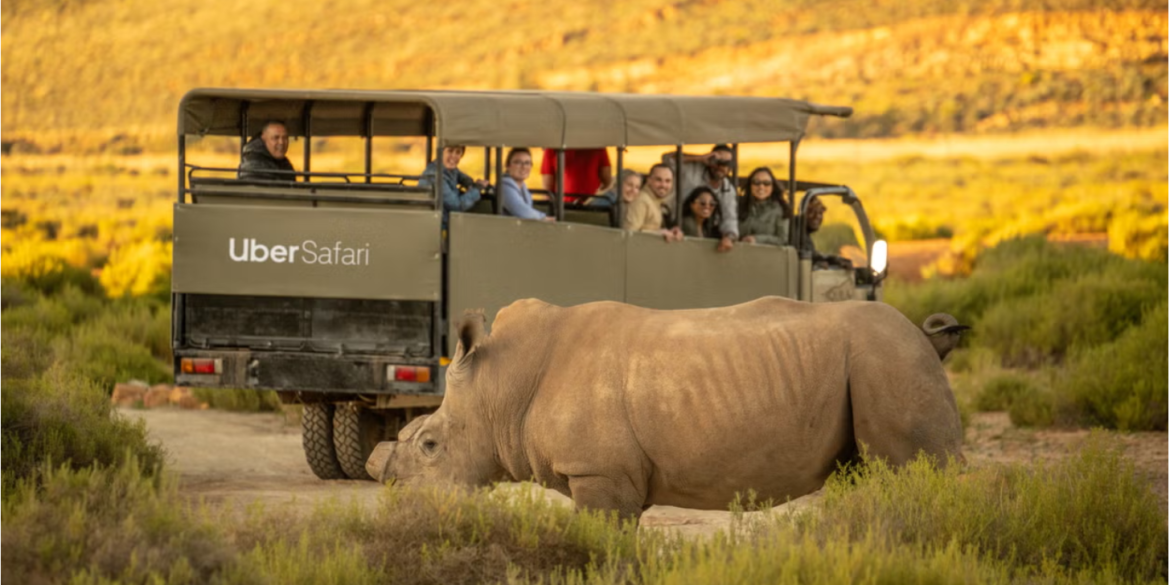 Uber launches Uber Safari in Cape Town Photo/ Courtesy.