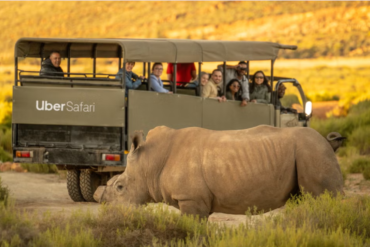 Uber launches Uber Safari in Cape Town Photo/ Courtesy.