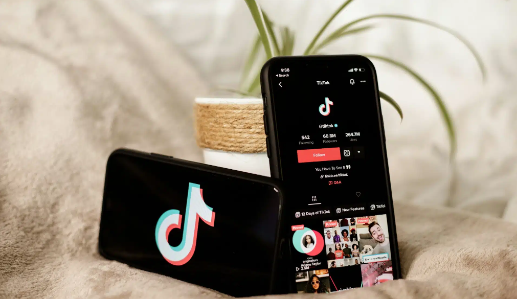 TikTok removed 11,887,516 videos violating its community standards from nine African nations. Photo /Courtesy.