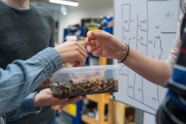 A Cameroonian agri-tech company is using insects to create a sustainable food chain. Photo/ Courtesy.